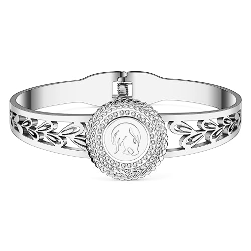 BAMAY Edelstahl 12 Sternzeichen Armband Armreif Konstellation 18K Gold Armbänder für Frauen Mädchen Charms Fische Geschenke (Versilbert Leo Armband) von BAMAY