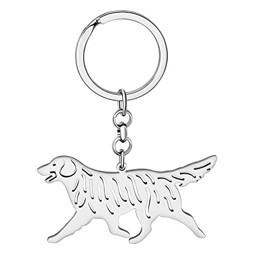 BAMAY Edelstahl Hund Rassen Schlüsselanhänger Mops Chihuahua Labrador Yorkshire Corgi Welpe Schlüsselring Charms Hund Geschenke für Frauen Mädchen (Golden Retriever Versilbert) von BAMAY