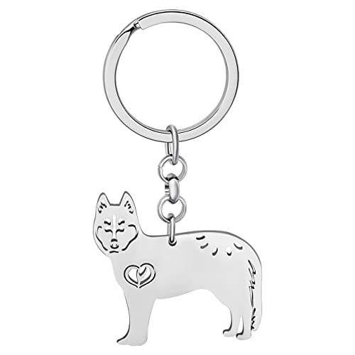 BAMAY Edelstahl Hund Rassen Schlüsselanhänger Mops Chihuahua Labrador Yorkshire Corgi Welpe Schlüsselring Charms Hund Geschenke für Frauen Mädchen (Husky Versilbert) von BAMAY