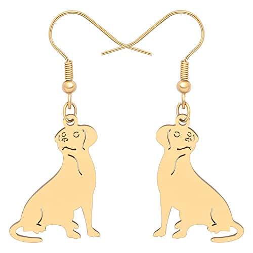 BAMAY Edelstahl Labrador Hund Ohrringe Hängend Welpe Baumeln Neuheit Schmuck Labrador Charms Geschenk für Damen Mädchen von BAMAY