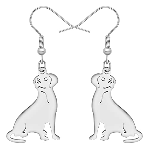 BAMAY Edelstahl Labrador Hund Ohrringe Hängend Welpe Baumeln Neuheit Schmuck Labrador Charms Geschenk für Damen Mädchen von BAMAY