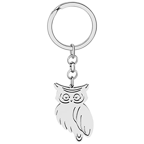 BAMAY Edelstahl Schlüsselanhänger Vögel Kolibri Taube Eule Auto Schlüsselbund Schmuck Geschenke für Frauen Mädchen Tasche Charms von BAMAY