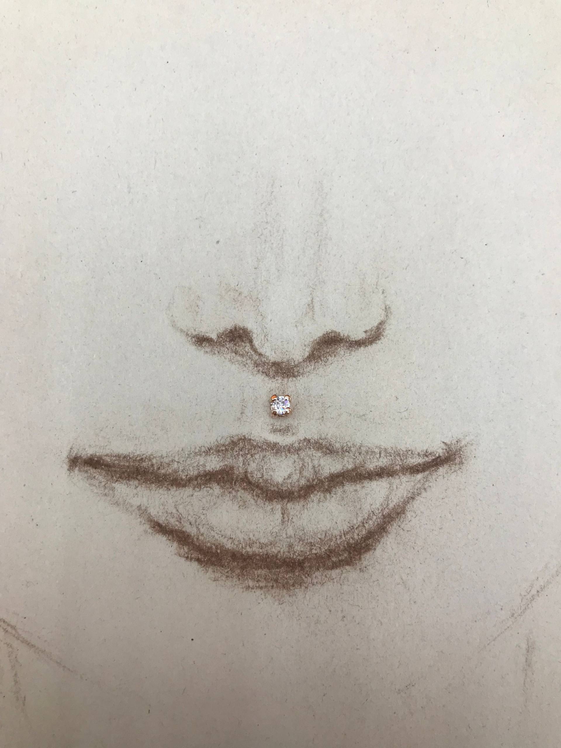 Brilliant Runden Cz Diamant Innengewinde Flachen Rücken Piercing Medusa Lip/Ohrstecker von BANANAHUNTERArt