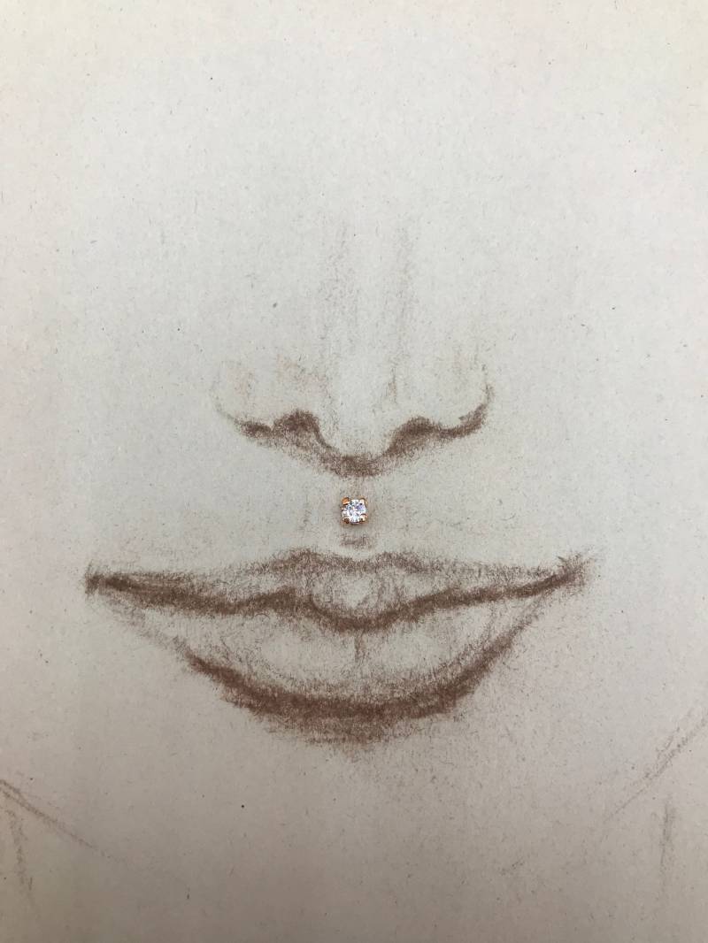 Brilliant Runden Cz Diamant Innengewinde Flachen Rücken Piercing Medusa Lip/Ohrstecker von BANANAHUNTERArt