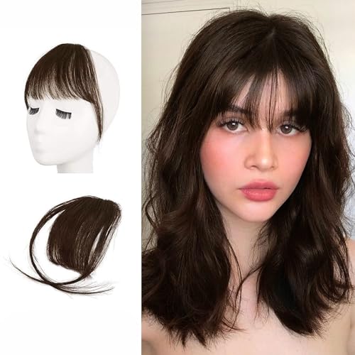BARSDAR Echtes Menschliches Haar Clip in Bangs, 100% Menschliches Haar Clip in Pony für Frauen - Braun Wispy Pony Extensions Fringe Färbbar Echtes Haar Pony Haarteile - Dunkel Auburn Braun von BARSDAR
