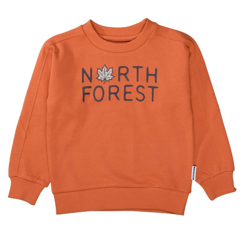 BASEFIELD - Kn.-Sweatshirt oversized rusty orange von BASEFIELD