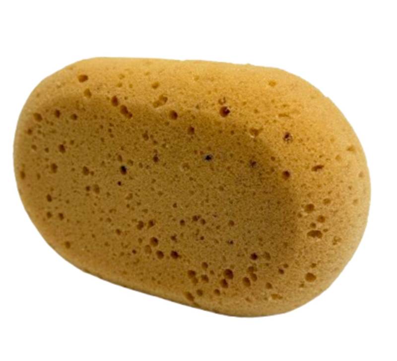 BAYLI Schwamm 7 Stück Sito Autoschwamm Oval aussen - Sito Universalschwamm rund von BAYLI