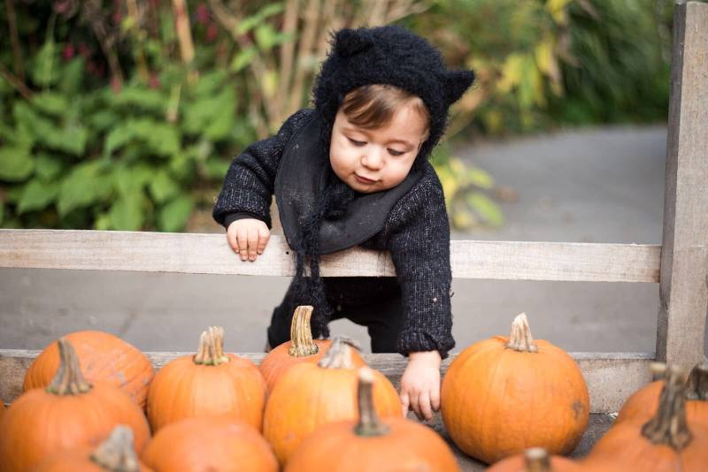 Katzensittermütze Strickmütze Kitty Hat| Neugeborener Fuzzy Bären Hut | Flauschige Kätzchenmütze Baby Mütze Gestricktes Katzenhäubchen von BAprops