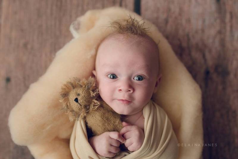 Löwe Photo Prop | Stofftierchen Und Häubchen Stofftier Neugeborene Requisiten Spielzeug Gestrickter Tier von BAprops