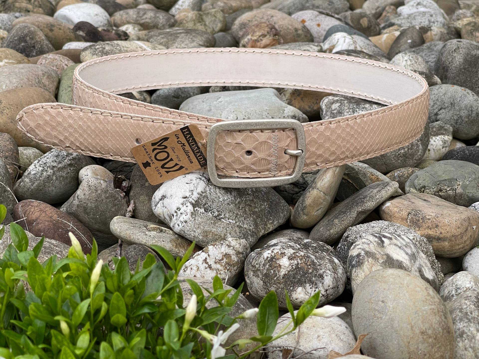 Python Women's Leather Belt Fashion in Pink Handmade Women's Made Of Pure Sustainable Pastel Colour Python Women's Leather Belt Fashion in Pink Handmade Women's Made Of Pure Sustainable Pastel Colour von BBGAIMPORTEXPORT