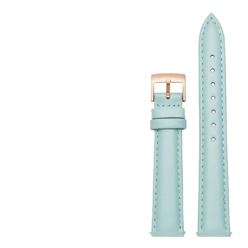 YingYou 14 Mm, 16, 18, 20, Schlichtes Echtleder-Armband, Kompatibel Mit Fossil, Citizen-Uhrenarmband, DW-Damenarmband, Himmelblau, Rosa, Braun(Sky blue-rosegold,12mm) von BBPLWEEA