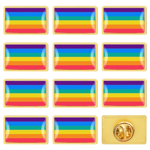 12 stück Gay Pride Flag Pins Anstecker, Grelle Farbe Regenbogen Flagge Brosche Pride Pin für LGBT, Emaille Pride Pins für Revers, Damen, Herren Pride Accessoires von BBXWANG