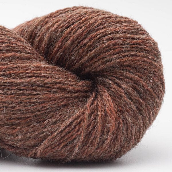 BC Garn Wolle Bio Shetland GOTS | 100% Schurwolle von BC Garn