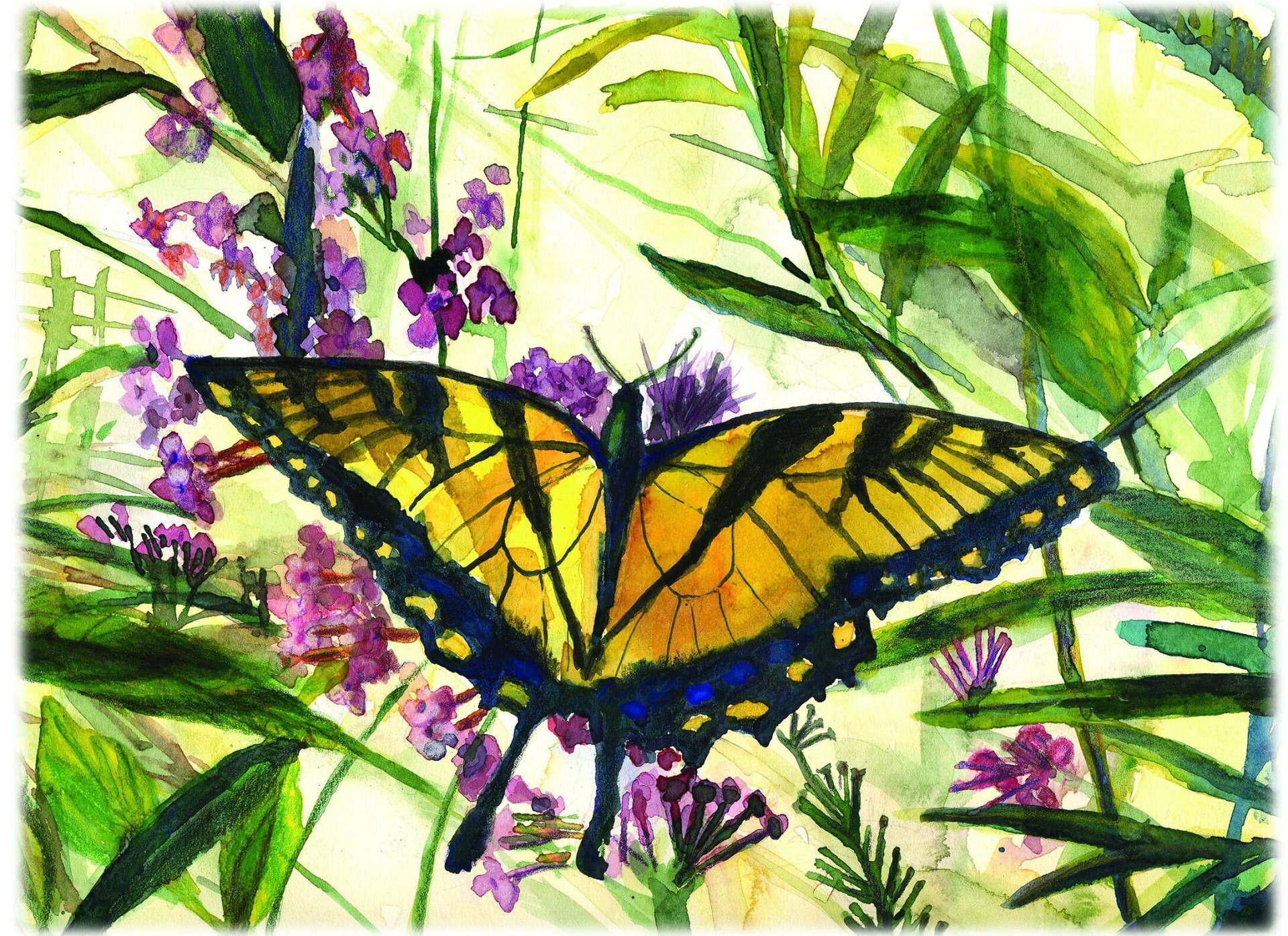 Schmetterling-T-Shirt Schmetterling-T-Shirt von BCCreationsDesign