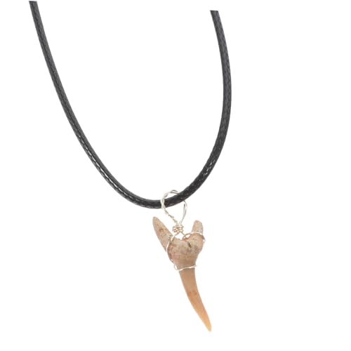 BCOATH Sharks Tooth Necklace aus Natürlichem Kristall mit Lederband Einzigartiger Anhänger für Damen und Herren Symbolisch für Mut und Schutz Modisches für Freunde und Familie von BCOATH
