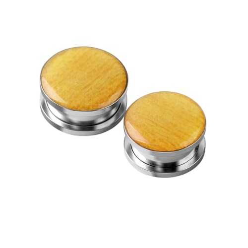 BCughia 2 Stück Edelstahl Ohr Plug 14mm Tunnel Ohr Damen Runde Form Tunnel Plug Ohr Set, Silber von BCughia