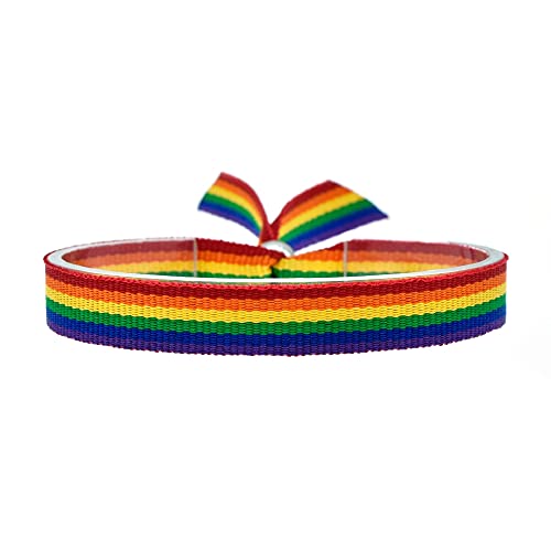 BDM Stoffarmband mit der LGTBI-Flagge, verstellbar für Männer und Frauen. 10 mm breit. von BDM