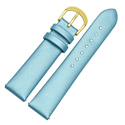 BDPRZGHGL 12/14/16/18/20mm Leder W Band Seidenband W Gurt Schnellveröffentlichung Springbar für Frau Lady W. von BDPRZGHGL