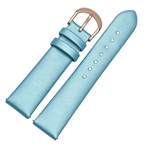 BDPRZGHGL 12/14/16/18/20mm Leder W Band Seidenband W Gurt Schnellveröffentlichung Springbar für Frau Lady W. von BDPRZGHGL