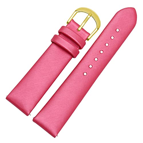BDPRZGHGL 12/14/16/18/20mm Leder W Band Seidenband W Gurt Schnellveröffentlichung Springbar für Frau Lady W. von BDPRZGHGL