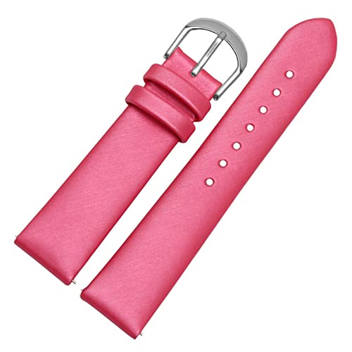 BDPRZGHGL 12/14/16/18/20mm Leder W Band Seidenband W Gurt Schnellveröffentlichung Springbar für Frau Lady W. von BDPRZGHGL