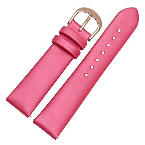 BDPRZGHGL 12/14/16/18/20mm Leder W Band Seidenband W Gurt Schnellveröffentlichung Springbar für Frau Lady W. von BDPRZGHGL