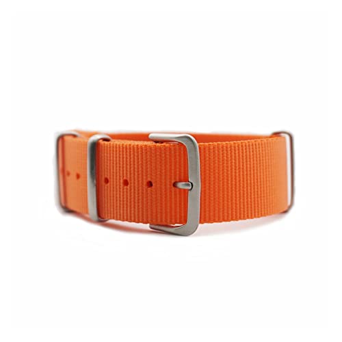 BDPRZGHGL Nylon W Riemen 20mm 22 mm Lebband Pass für 007 Schwarz/Rot/Grün W Band verwenden Hautmaterial von BDPRZGHGL