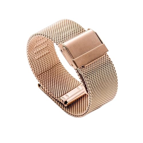 BDPRZGHGL Uhrengurt 12mm14mm16mm17mm18mm19mm20mm21mm22mm Gurte Metall Metelstahl Gurt von BDPRZGHGL