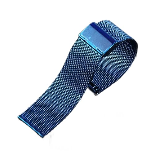 BDPRZGHGL Uhrengurt -Netzgurt 8mm 10 mm 12 mm 14 mm 16 mm 18 mm 20 mm 22 mm 24 mm Edelstahlzubehör von BDPRZGHGL