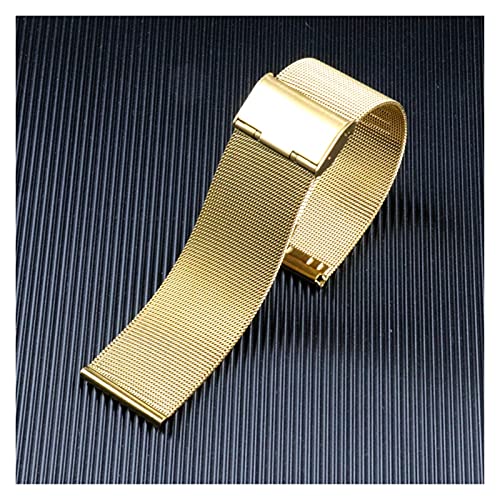 BDPRZGHGL Uhrengurt -Netzgurt 8mm 10 mm 12 mm 14 mm 16 mm 18 mm 20 mm 22 mm 24 mm Edelstahlzubehör von BDPRZGHGL