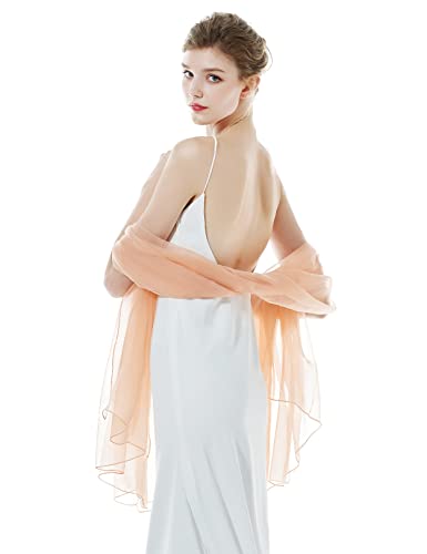 BEAUTELICATE Damen Stola Schal für Abendkleider Sheer Leichter Umschlagtücher Tücher Wraps Bolero Sommer für Festlich Hochzeit Braut 17 Farben (Aprikose, Einheitsgröße) von BEAUTELICATE