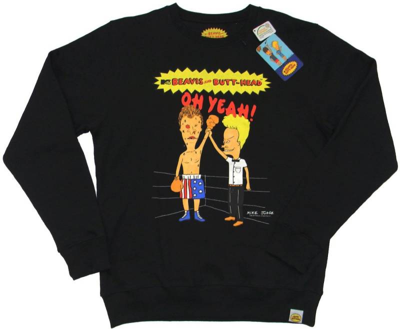 BEAVIS and BUTT-HEAD Hoodie Beavis and Butt-Head, Sweatshirt, "Boxen", Schwarz, Herren (Stück, 1-tlg., Stück) mit Frontprint von BEAVIS and BUTT-HEAD