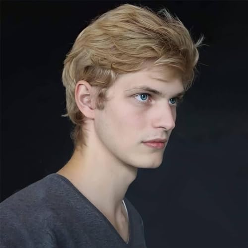 Becus Perücken Herren Kurze Blond Mit Seitenteil Braun Dunkle Perücken für Männer Kerl Glattes Haar Kunsthaar Ersatz Kostüm Halloween von BECUS