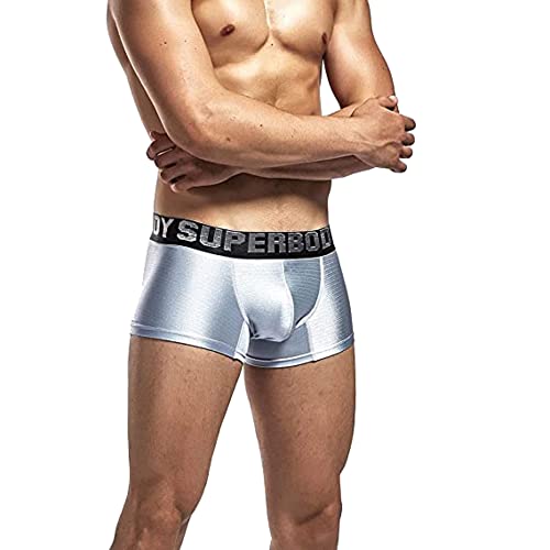 BEEMEN Herren Sexy Unterwäsche Low-Rise Boxer Trunk Unterhose (Silber, L (Europe Size M)) von BEEMEN