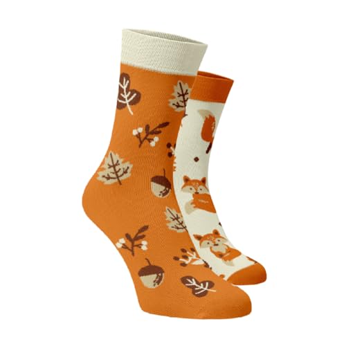 BENAMI | Lustige Socken mit Füchse-Motiv | Baumwoll-Hochsocken für Damen und Herren von BENAMI