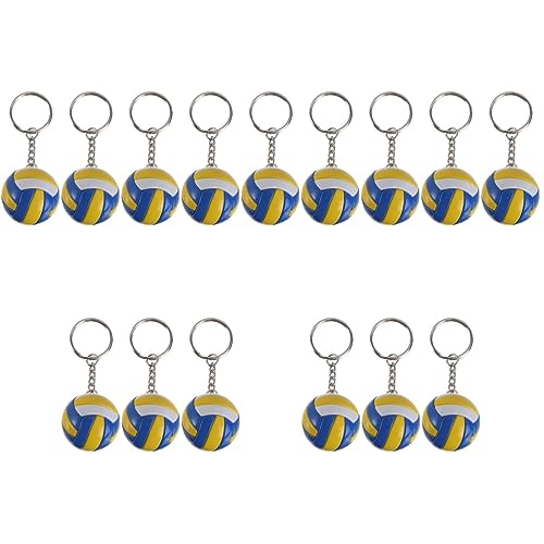BESPORTBLE 15 Stk Volleyball-schlüsselanhänger Volleyball-anhänger 3d-schlüsselanhänger Volleyball Schlüsselanhänger Masse Schlüsselanhänger Mutter Flagge Taschen Pu Student BESPORTBLE 15 Stk Volleyball-schlüsselanhänger Volleyball-anhänger 3d-schlüsselanhänger Volleyball Schlüsselanhänger Masse Schlüsselanhänger Mutter Flagge Taschen Pu Student von BESPORTBLE