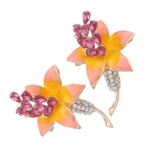 BESPORTBLE 2 Stück Anstecknadel Brosche Pin Metall Pin Damen Brosche Strass Brosche Pin BESPORTBLE 2 Stück Anstecknadel Brosche Pin Metall Pin Damen Brosche Strass Brosche Pin von BESPORTBLE