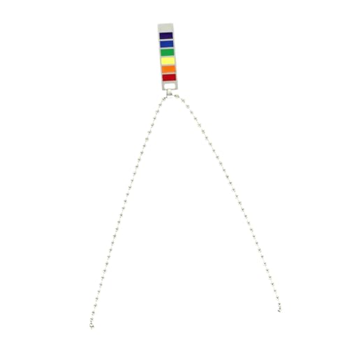 BESPORTBLE Halskettenanhänger Regenbogen Lesben Pride Accessoires Pride Dekorationen Flagge Halskette Merch Anhänger Für Männer Sterling Silber Halskette Halsketten Gay von BESPORTBLE