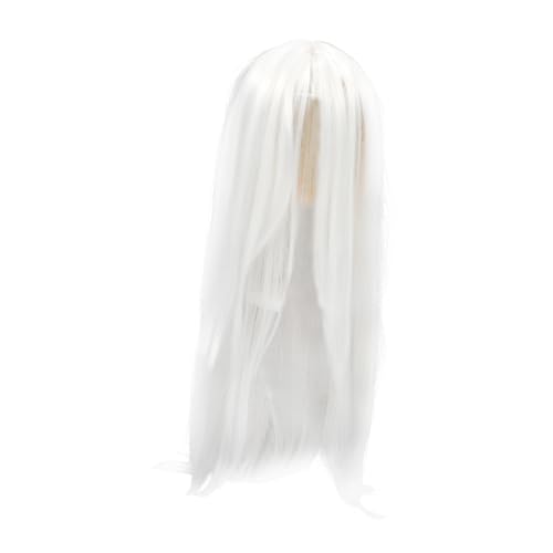 BESPORTBLE Lange Glatte Perücke für Männer Cosplay Perücke Kunstfaser Komfortabel für Hanfu Kostüme von BESPORTBLE