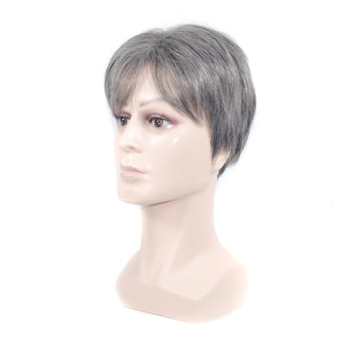 BESTYASH 1 Stück Herren Perücke aus Hitzebeständigem Material Kurze Graue Silberne Haarteile für Cosplay und Thematische Partys und Realistisch Atmungsaktiv und Bequem von BESTYASH