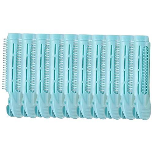 BESTYASH 10 Stk. Lockenwickler Wurzel Haarspangen für Mädchen Styling Volumengebende Haarspangen Haarklammer voluminisierende Haarklemme Haarvolumisierungswerkzeug Frauenclip Abs Himmelblau von BESTYASH