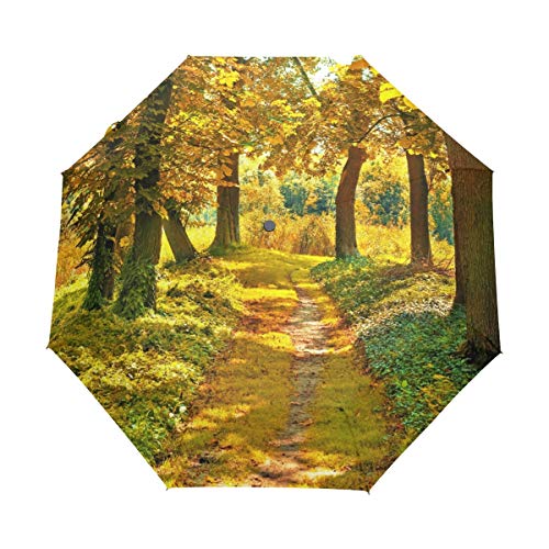 Gelbgoldene Straßenansicht Regenschirm Auf-Zu Automatik Taschenschirm Winddichter Umbrella Klein Leicht Schirm Kompakt Schirme für Jungen Mädchen Reise Strand Frauen von BEUSS