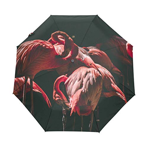 Rotes Feuer Flamingo Regenschirm Auf-Zu Automatik UV-Schutz Taschenschirm Winddichter Umbrella Klein Leicht Schirm Kompakt Schirme für Jungen Mädchen Reise Strand Frauen von BEUSS