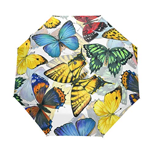 Schmetterling Kunst Regenschirm Auf-Zu Automatik Taschenschirm Winddichter Umbrella Klein Leicht Schirm Kompakt Schirme für Jungen Mädchen Reise Strand Frauen von BEUSS