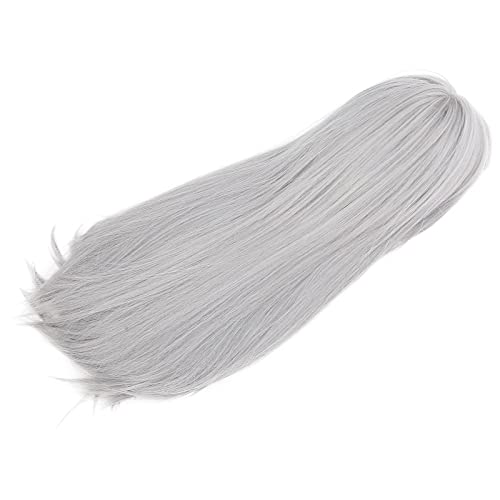 Frauen Grau Langes Haar Perücke Natürliche Gefälschte Haare für Party Lange Perücke Graue Mode Gerade Gerade Kostüm Perücke von Bewinner