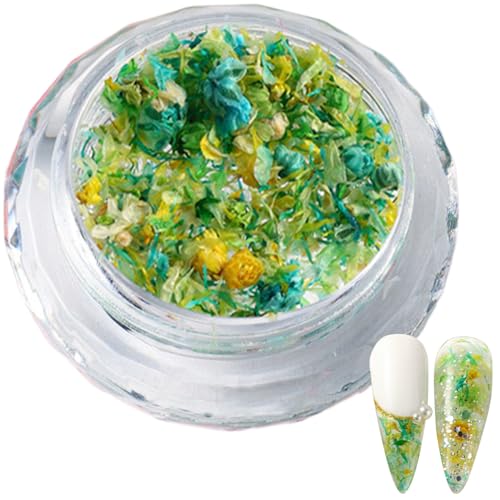 1Box ​​Einzigartige Und Elegante Gemischte Nagel 3D Getrocknete Blumen Nägel Kunst Liefert Maniküre Nagel Dekorationen Für Frauen von BFLKY