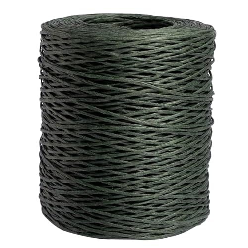 BFLKY Weiche Papierkordel Blumenbindedraht Papierdraht Dekodraht geeignet für elegante Präsentation BFLKY Weiche Papierkordel Blumenbindedraht Papierdraht Dekodraht geeignet für elegante Präsentation von BFLKY