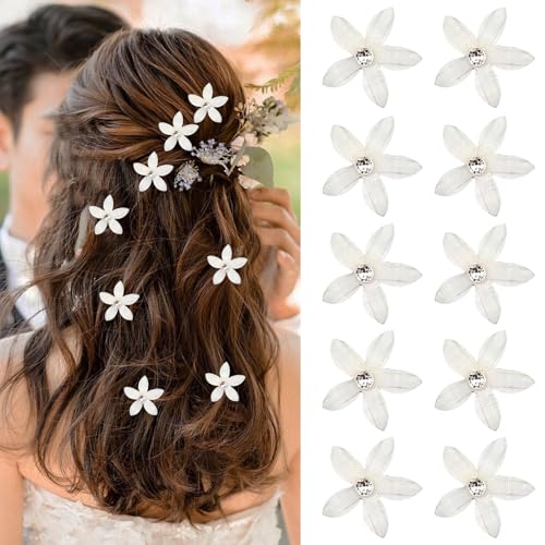 10 Stück weiße Haarschmuck Blumen Haarspangen,Kleine Haarklammern,Mini Strass Blumen Haarspangen für Mädchen Damen,Haarschmuck Hochzeit Haarnadeln Haar Deko für Hochzeiten Abendveranstaltungen Partys von BFUZXY