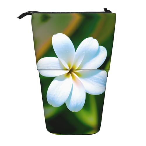 BHHJKK Teleskop-Federmäppchen mit Hawaii-Blume, Federmäppchen, Organizer, Schreibwaren, Stifteetui mit Reißverschluss, Schwarz , Einheitsgröße, Federmäppchen BHHJKK Teleskop-Federmäppchen mit Hawaii-Blume, Federmäppchen, Organizer, Schreibwaren, Stifteetui mit Reißverschluss, Schwarz , Einheitsgröße, Federmäppchen von BHHJKK