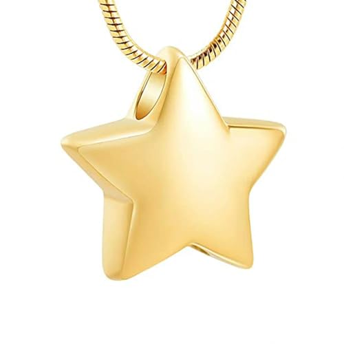 BIAIHQIE Asche-Halskette für Asche, kleiner Stern-Urnenanhänger, Asche-Gedenkkette für Frauen, Gold von BIAIHQIE